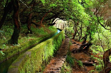 madeira1
