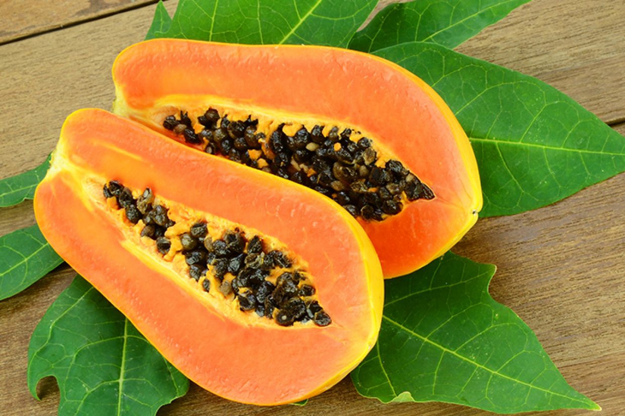 papaya